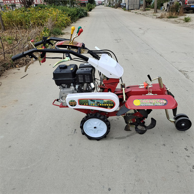 葡萄园开沟培土机 手扶式田园管理机 大葱大姜开沟种植机