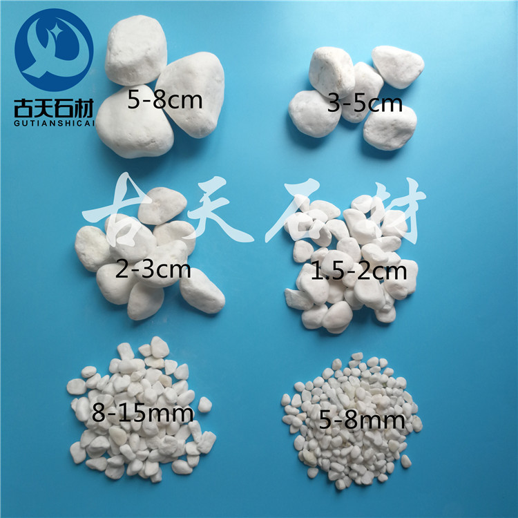 鱼缸花盆养花用白色鹅卵石 园林园艺用白鹅卵石 白石子3-5cm
