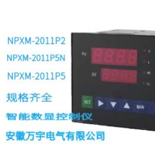 智能数显控制仪 2011P2 规格齐全 NPXM PWR