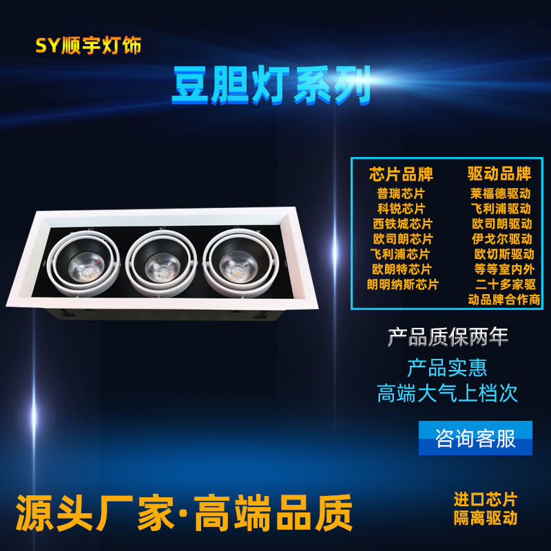 LED嵌入式格栅豆胆灯COB三头