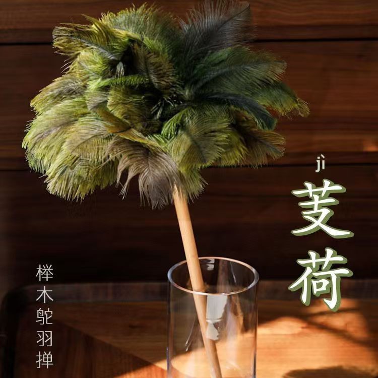 鸵鸟毛羽毛掸子家用静电除尘掸扫灰手工清洁长柄鸡毛掸子工厂批发