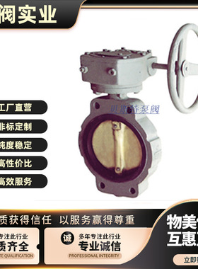 船用蝶阀 不锈钢板凸耳式蝶阀GB/T3036-94