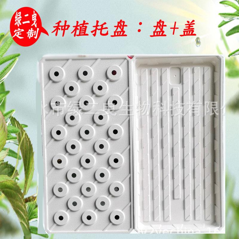 水培种植系统穴盘潮汐托盘温室蔬菜育苗水培种植设备无土栽培盘