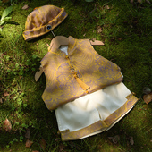 国风宝宝衣服夏季 婴儿冠衣抓周男童唐装 背心套装 周岁男宝礼服中式