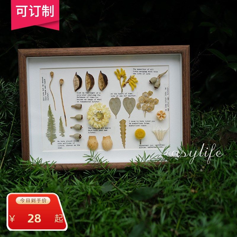 复古植物标本相框摆台客厅墙面装饰侘寂风装饰挂画小众礼物,家居饰品,标本类装饰画,淘宝优惠券,粉丝福利购,淘宝优惠卷