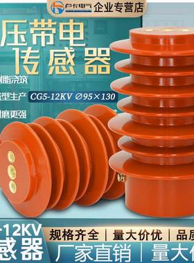 CG5-10Q/95×140/170高压传感器10KV带电显示器装置6KV环氧树脂
