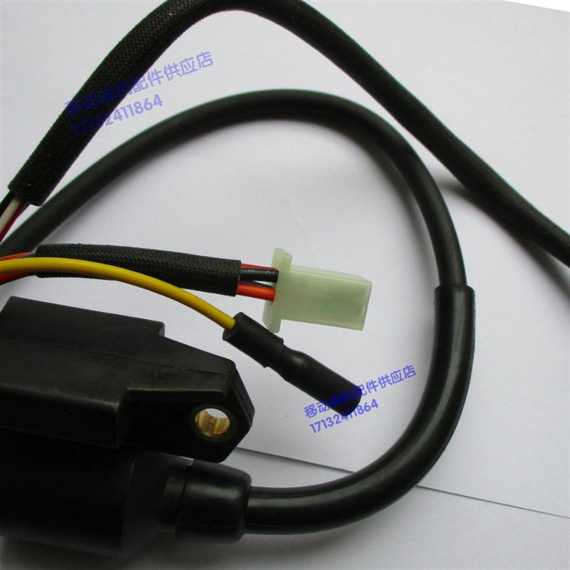 雅马哈EF1000FW 汽油发电机配件 高压T包点火器二合一