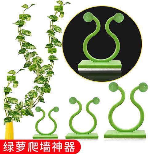 黄金葛蔓藤绿植无痕固定器免钉打孔贴墙攀爬上墙神器自粘挂钩理线