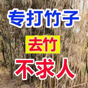 除竹子烂根专用药粉强力去竹粉清竹根专用大竹杂竹荒草灌木根烂死