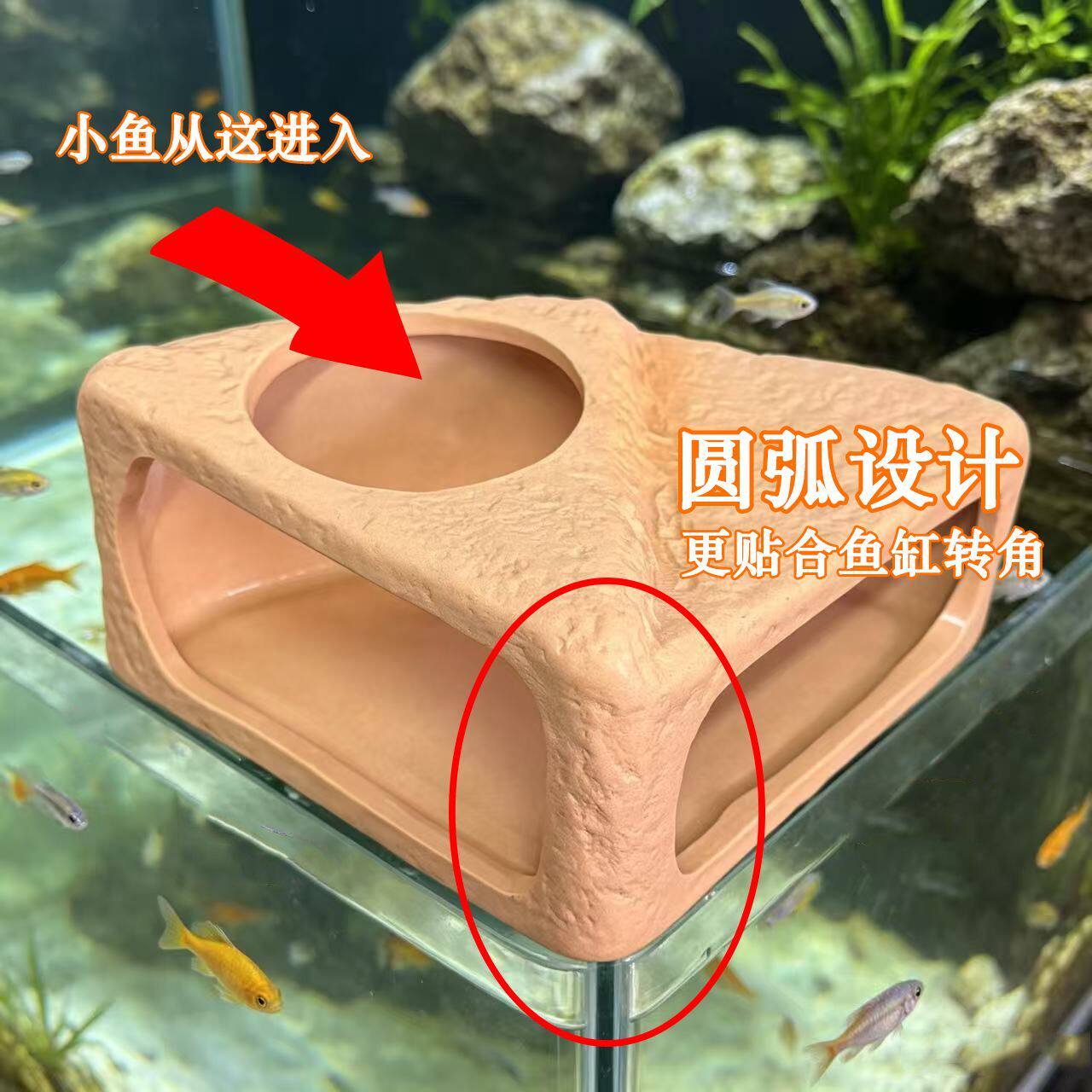 陶瓷鱼缸鱼虾躲避洞迷你鹦鹉鲷罐窝可视化鱼繁殖造景摆件