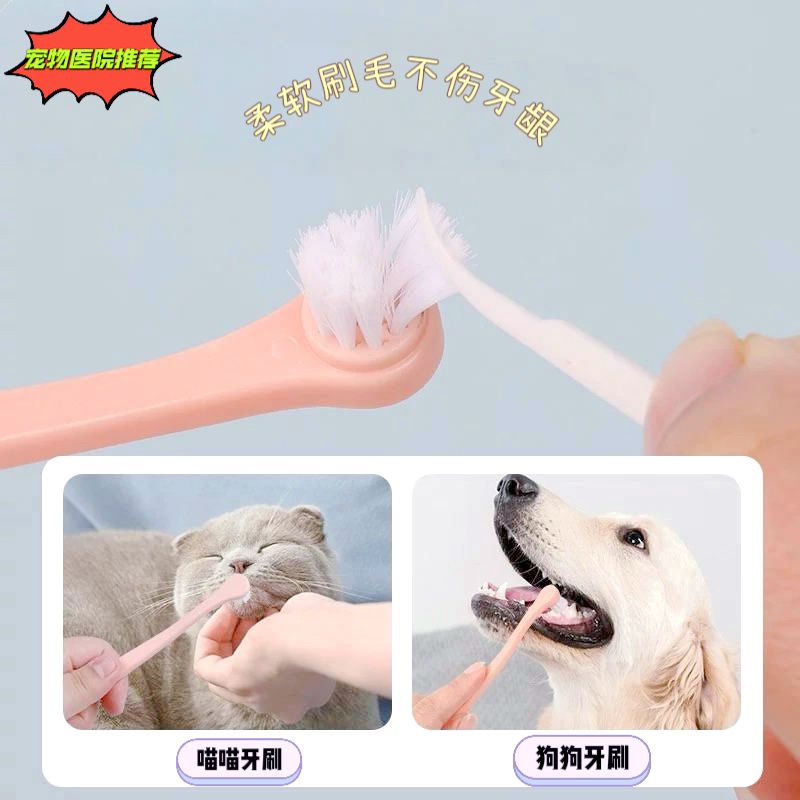 网红小型宠物圆头软毛牙刷猫咪狗狗牙齿清洁一次性刷牙用品