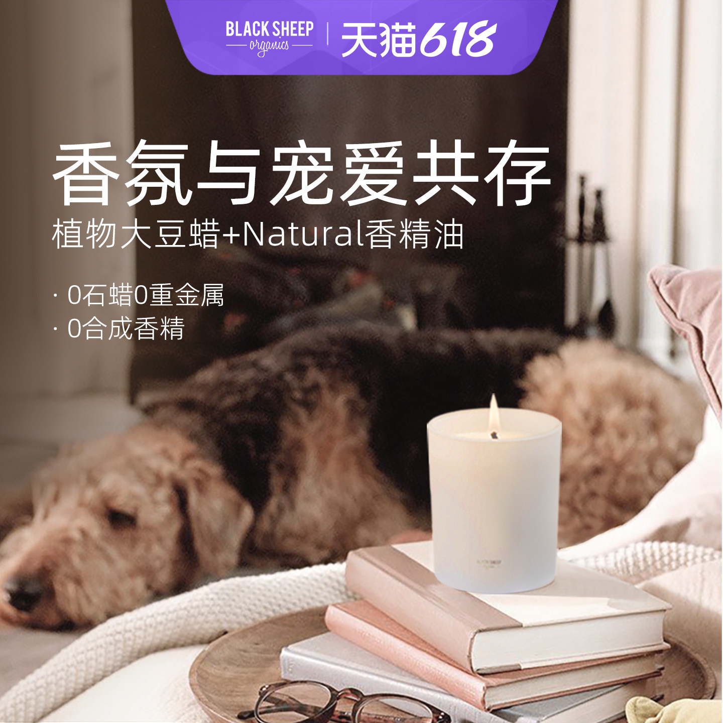 BlackSheep宠物友好香薰150g蜡烛大豆蜡天然植物精油家用装饰摆件