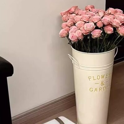 客厅高级轻奢插插花复古落地小众大花瓶摆件感醒网红花桶高档绿植