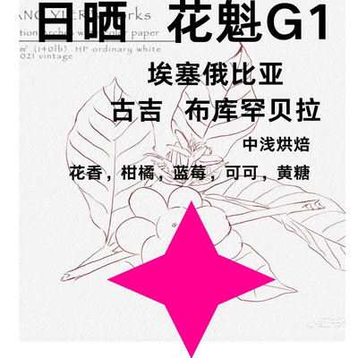 花魁单品埃塞俄比亚花香咖啡豆