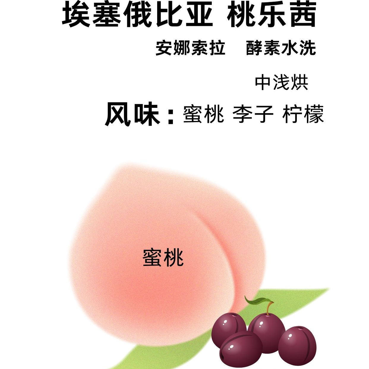 桃乐茜埃塞俄比亚安娜索拉酵素水洗浅中烘果香咖啡豆冷萃袋装227g