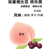 桃乐茜埃塞俄比亚安娜索拉酵素水洗浅中烘果香咖啡豆冷萃袋装 227g