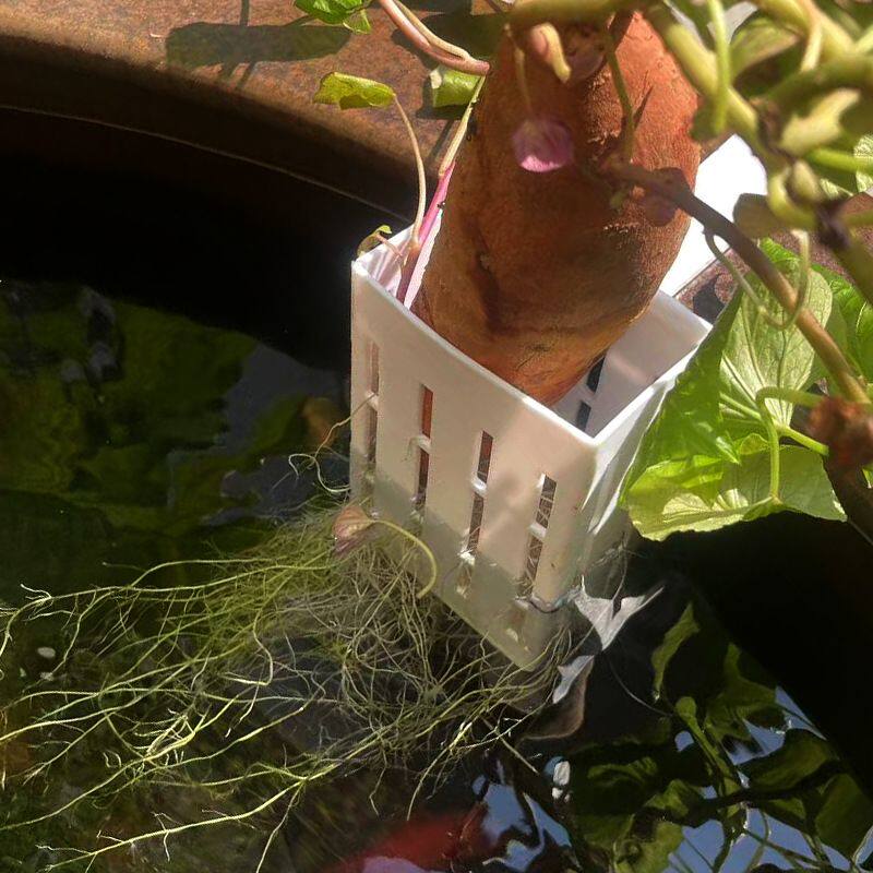 鱼缸水培挂饰配件壁挂水培红薯篮新款定植篮造景装饰