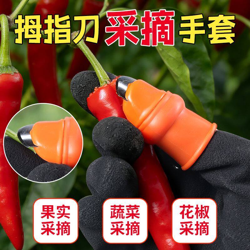 摘菜剥玉米摘枣摘辣椒摘花椒铁指甲拇指刀掐尖采摘神器
