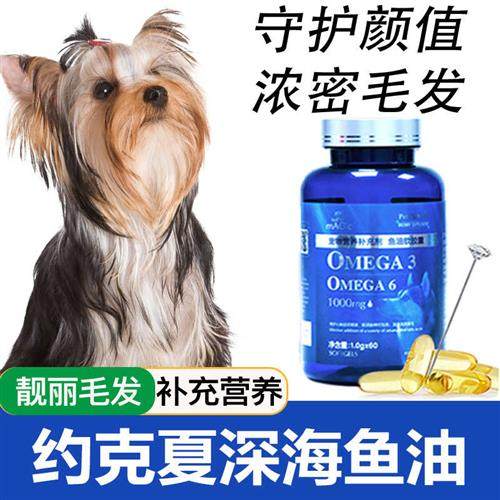 极速约克夏专用深海鱼油狗狗用鲑鱼油胶囊K宠物毛发爆毛粉卵磷脂,宠物/宠物食品及用品,猫狗通用营养膏,淘宝优惠券,粉丝福利购,淘宝优惠卷