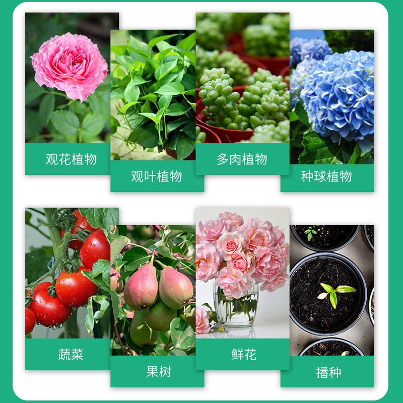 极速植物a活力素浓缩营养液养花通用发财树活力素101家用花卉多肉