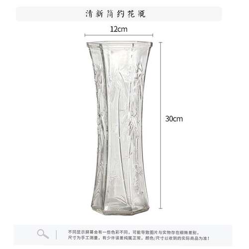 新品【两件套】特大号p玻璃花瓶透明水培富贵竹花瓶客厅家用插花