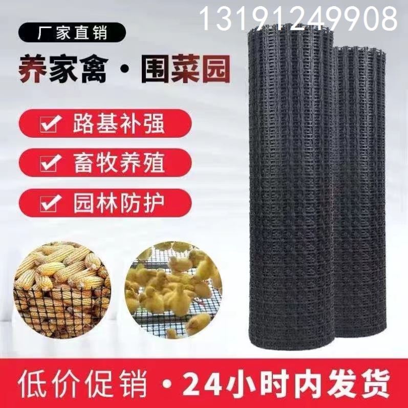 极速黑胶塑料网格防护网户外拦鸡养殖F网家禽围网养鸡鸭围栏网护