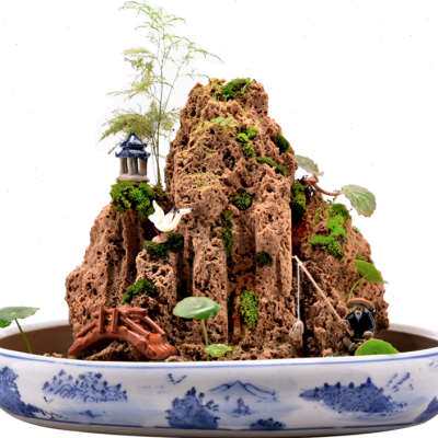 新品天然吸水石原石假山盆景造景石毛料菖蒲N石斛附石抱石景观石