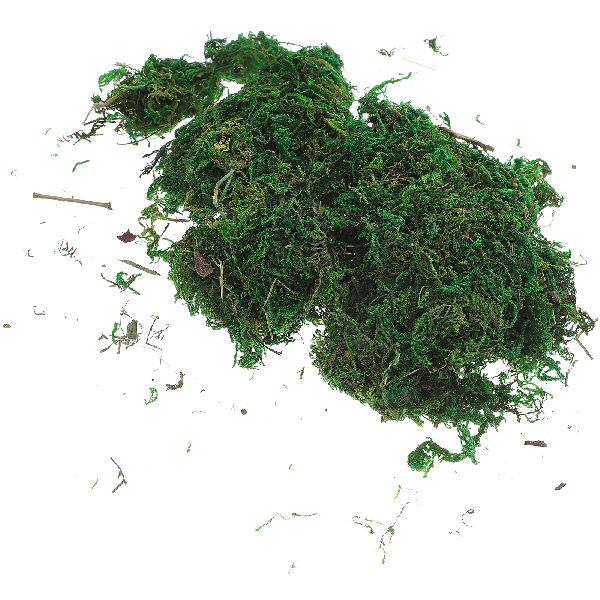 新品artificial flowers outdoor mossG lichen green simulation