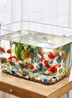 极速塑料鱼缸透明仿玻璃龟一体混养2D022新款客厅网红水培植物养