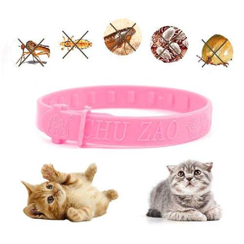 新品Antiflea Cat Collar RemovesB Flea Tick Collar Protect Pe