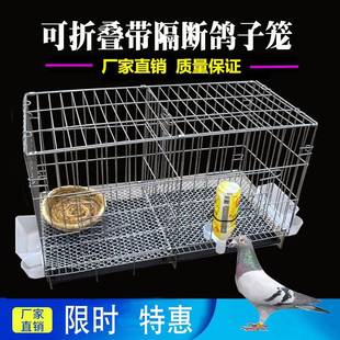 极速鸽子笼家e用特大号养鸽子专用笼配对笼繁殖笼铁养殖鸽笼子用