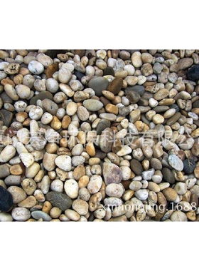 Pebbles 鹅卵石 鹅卵石滤料  现货供应 比专业更专注