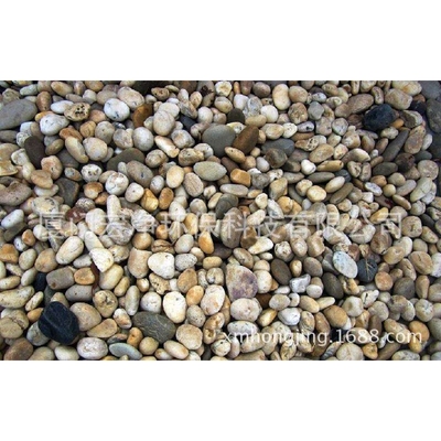 Pebbles 鹅卵石 鹅卵石滤料  现货供应 比专业更专注