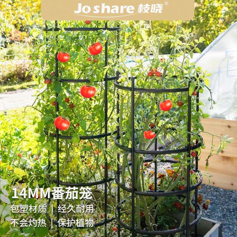 枝晓超大直径番茄爬藤架菜园攀爬户外庭院花支架子花园花柱花架