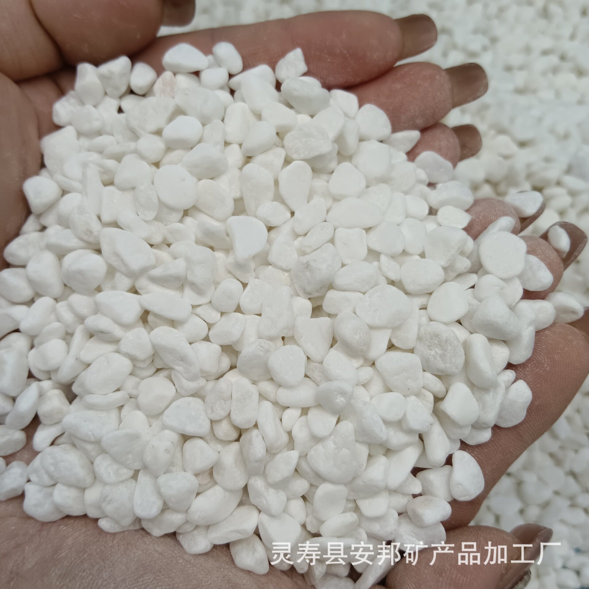 机制水磨石骨料白石子厂家批发