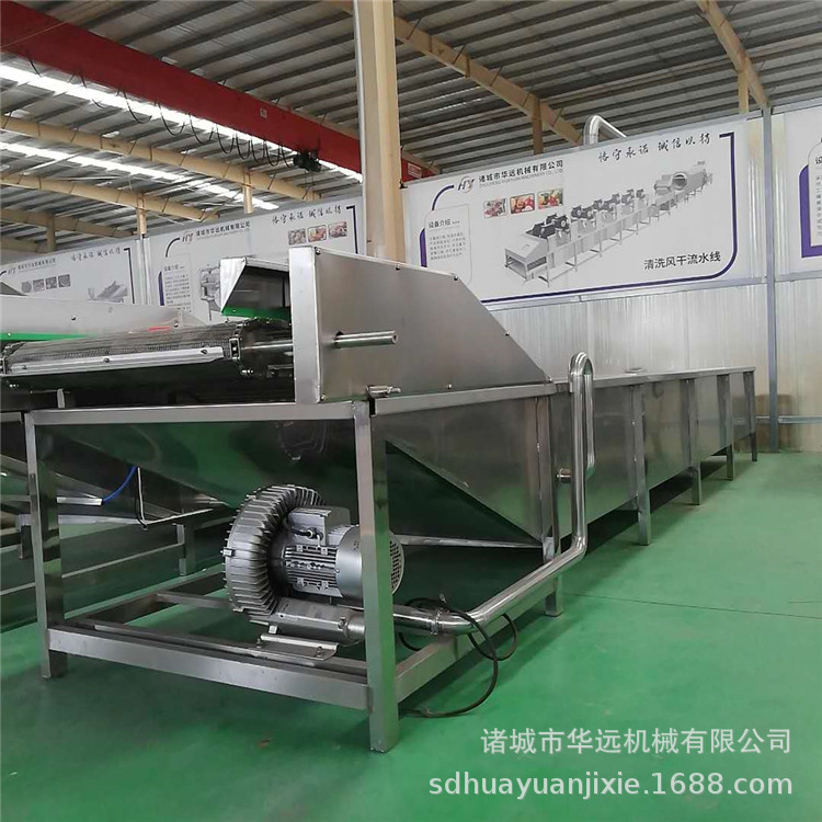 厂家莲藕片萝卜片清洗机成套