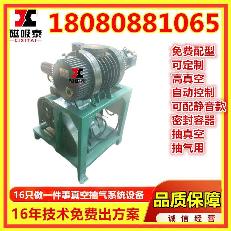 JZJX150-5真空机组ZJP150罗茨旋片式真空泵机组2x30A真空抽气设备