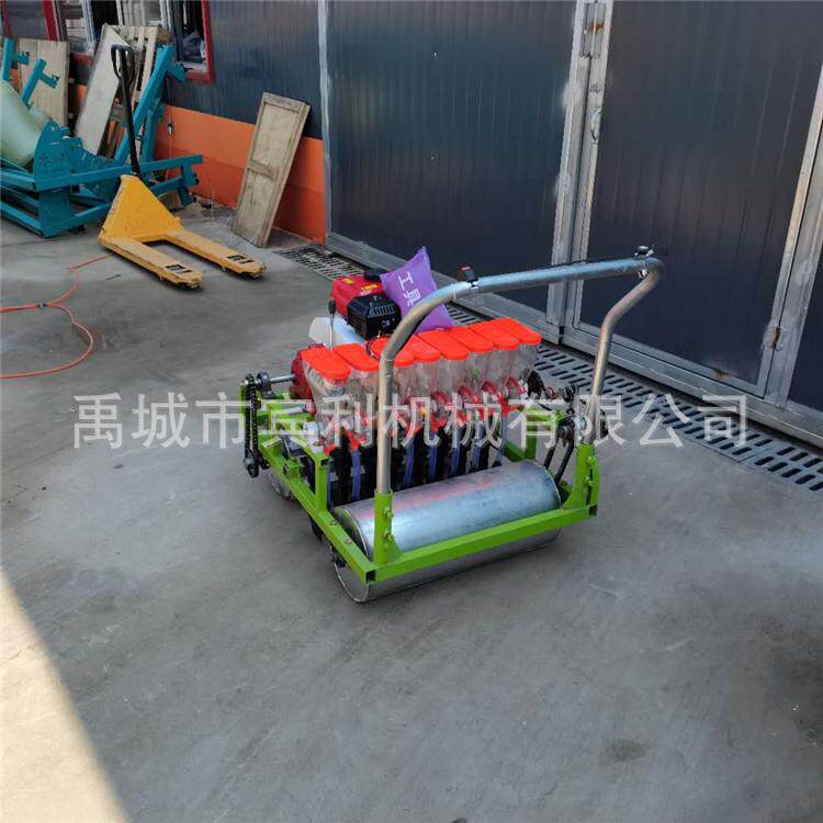供应齐鲁宾田利丰手推式汽油机自走式蔬菜精播机大棚蔬菜播种机