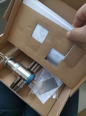 E+H液位开关FTL31-AA4M2AAW5J音叉物位计FTL31-13J8/0原装现货