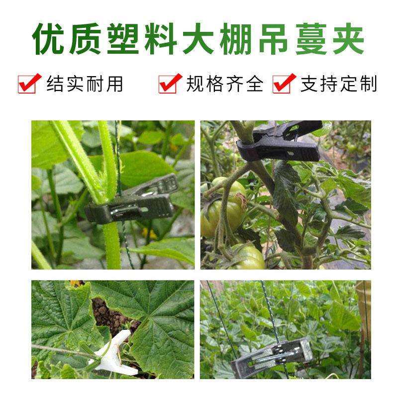 吊秧夹黄瓜夹子丝瓜大棚夹子番茄西红柿塑料夹子吊蔓夹