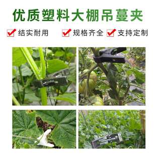 吊秧夹黄瓜夹子丝瓜大棚夹子番茄西红柿塑料夹子吊蔓夹