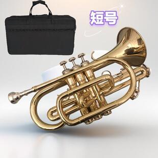 宫泽风短号乐器漆金小号乐器降B调专业演奏乐队初学者学生
