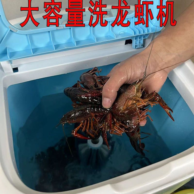小龙虾全自动仿人工毛刷清洗机