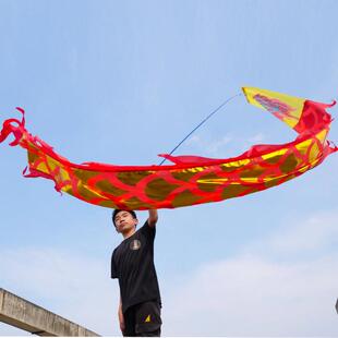 舞龙表演道具彩带健身龙新款彩带龙甩甩龙儿童中国龙空竹龙舞蹈
