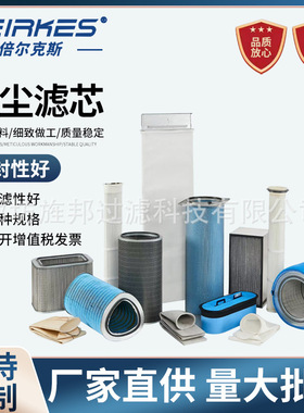 聚酯除尘滤芯P191889-016-436椭圆纳米阻燃滤筒除尘空滤除尘器