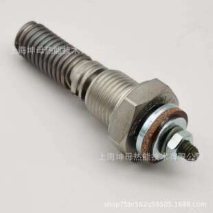 贝鲁（BERU）电热塞GH8460102133204预热塞