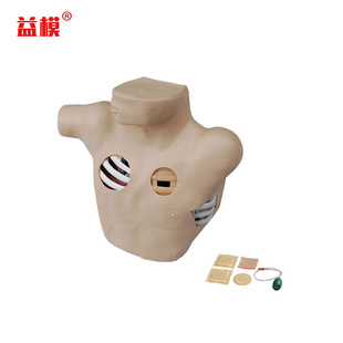 胸腔穿刺引流模型 胸腔穿刺模型 气胸液胸闭式处理模型