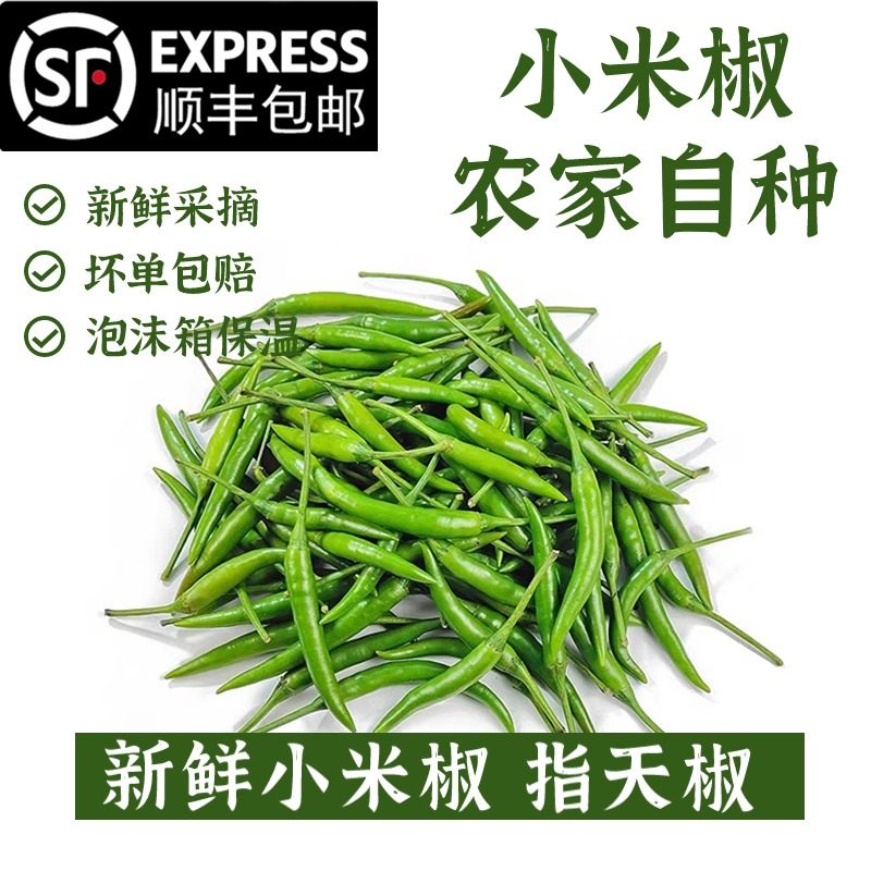 新鲜泰式小米辣椒指天椒小尖椒青辣椒青米椒 泰国餐厅用 顺丰包邮