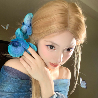 蓝色妖姬深蓝蝴蝶兰发夹