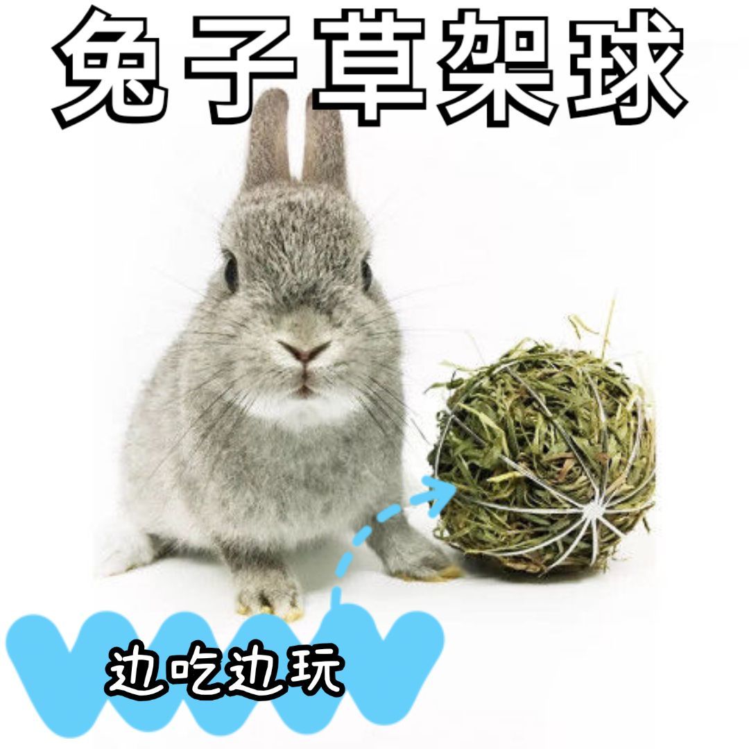 铁艺电镀兔子草球架仓鼠龙猫豚鼠可固定空心草架荷兰猪玩具